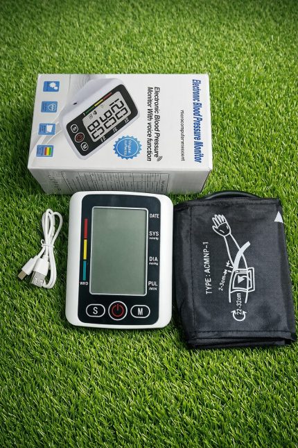 Electronic Blood Pressure Monitor